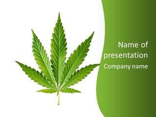 Marihuana Joint Illegal PowerPoint Template