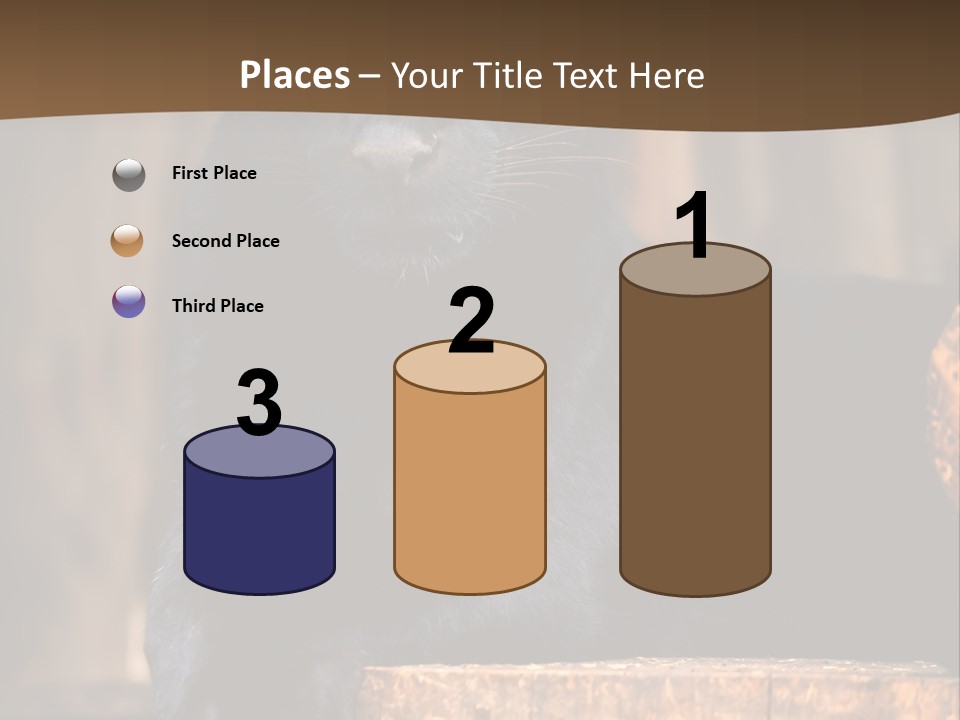Microphone Steel Equipment PowerPoint Template