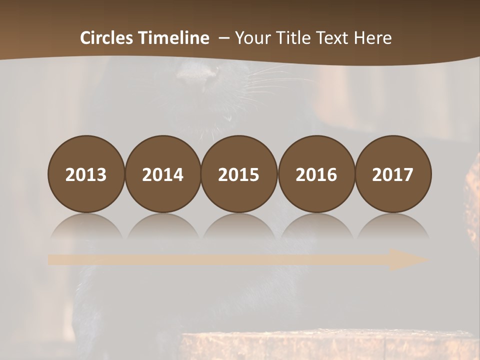 Microphone Steel Equipment PowerPoint Template