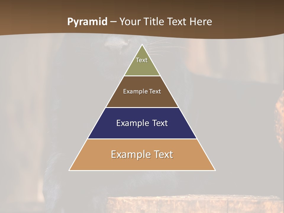 Microphone Steel Equipment PowerPoint Template