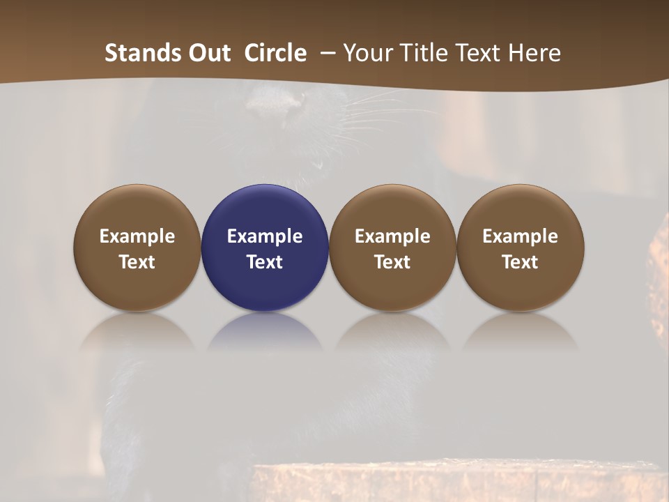 Microphone Steel Equipment PowerPoint Template