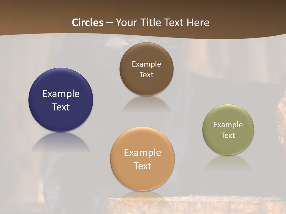 Microphone Steel Equipment PowerPoint Template