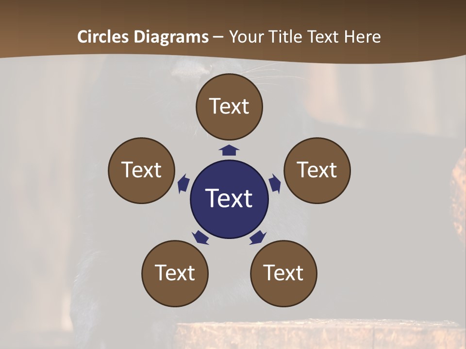Microphone Steel Equipment PowerPoint Template