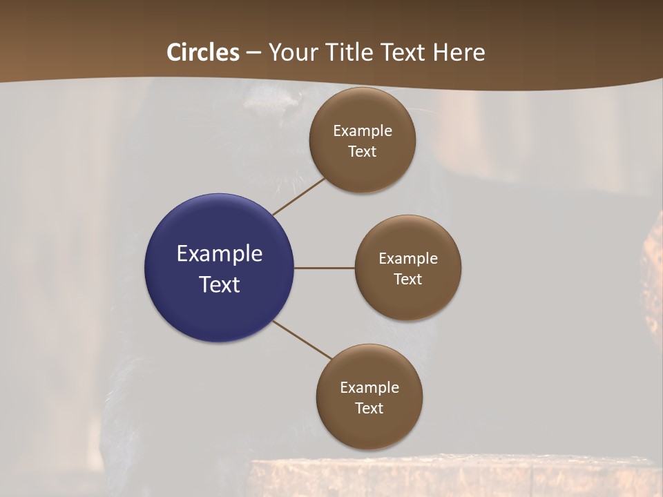 Microphone Steel Equipment PowerPoint Template