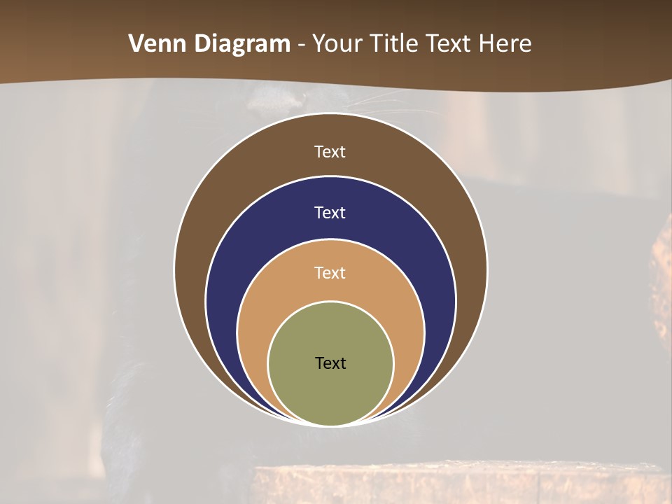 Microphone Steel Equipment PowerPoint Template