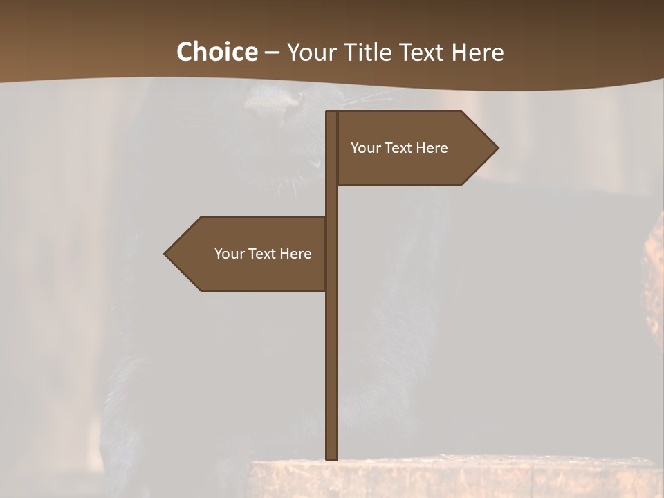 Microphone Steel Equipment PowerPoint Template