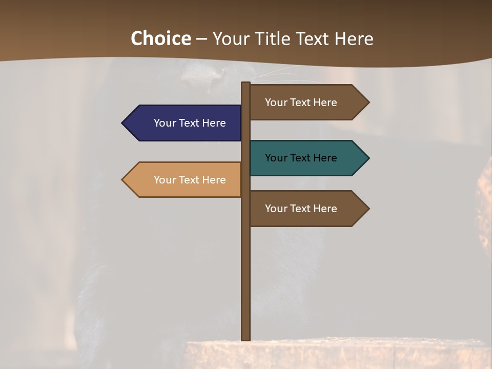 Microphone Steel Equipment PowerPoint Template