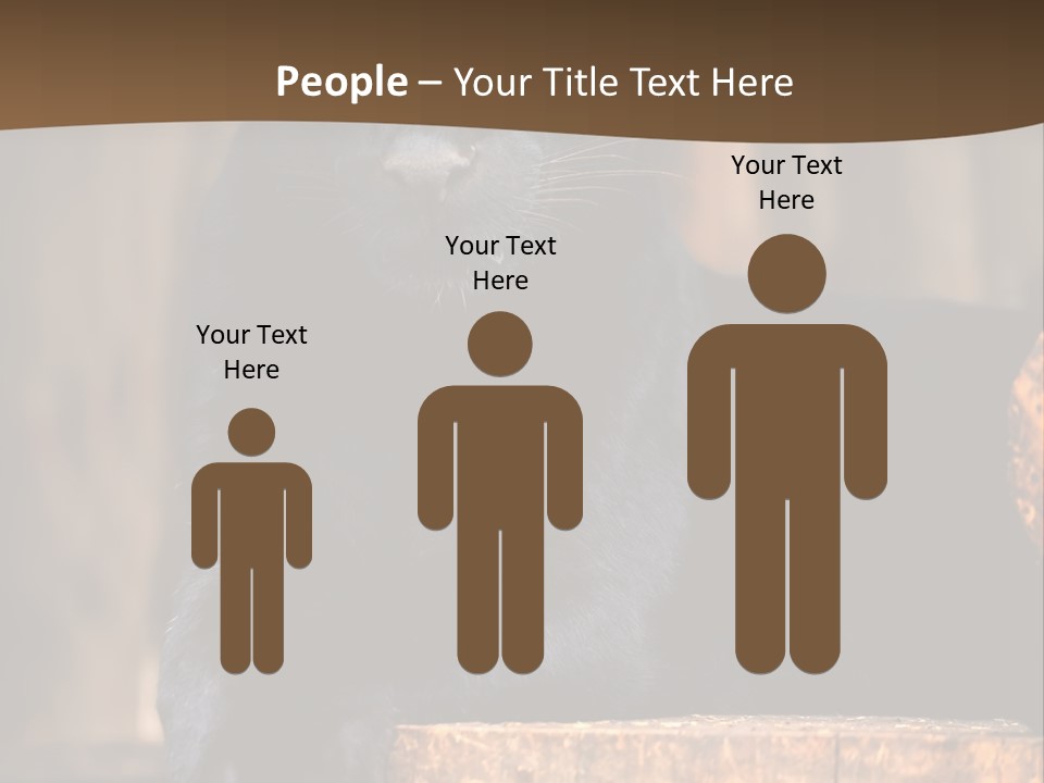 Microphone Steel Equipment PowerPoint Template