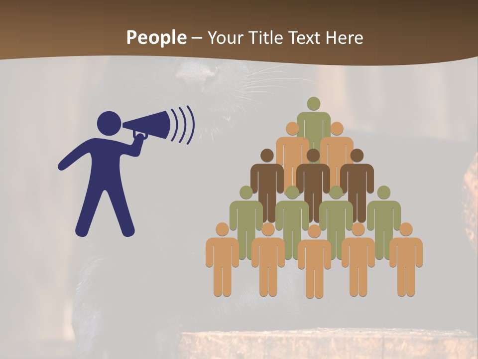 Microphone Steel Equipment PowerPoint Template