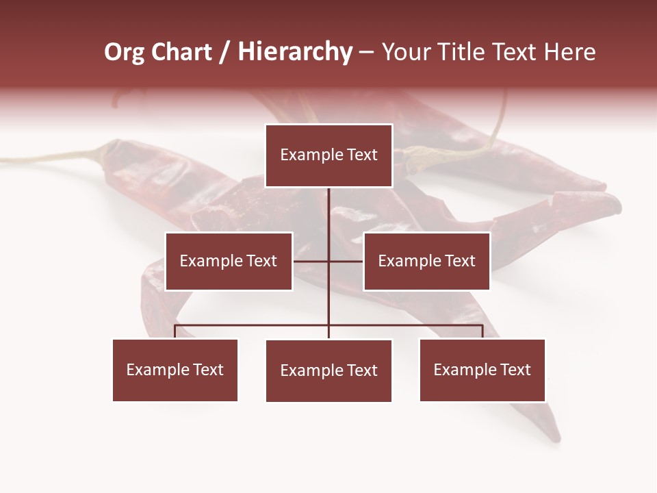 Arbol Chili Capsicum Chilli PowerPoint Template
