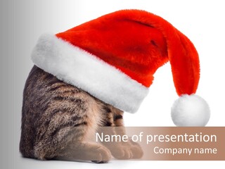 Hide Claus Soft PowerPoint Template