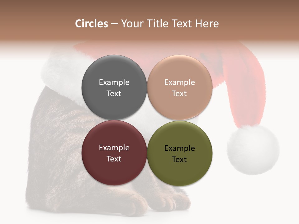Hide Claus Soft PowerPoint Template