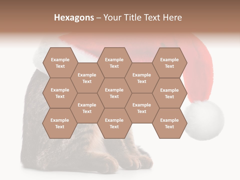 Hide Claus Soft PowerPoint Template