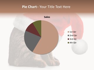 Hide Claus Soft PowerPoint Template