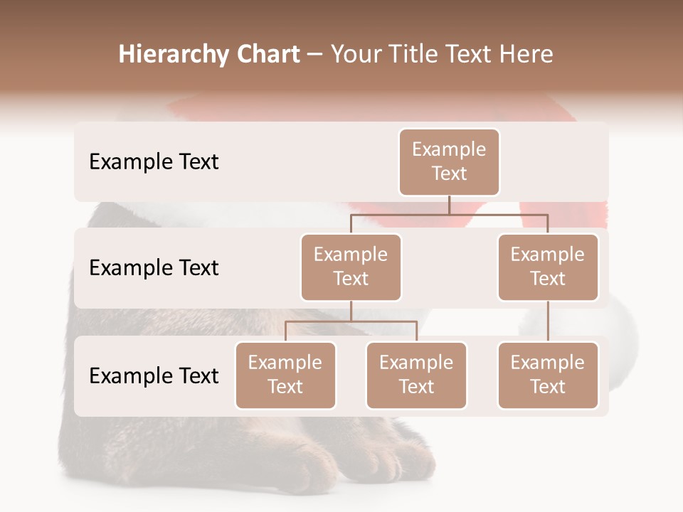 Hide Claus Soft PowerPoint Template