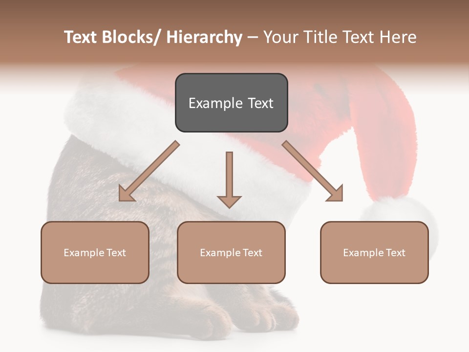 Hide Claus Soft PowerPoint Template