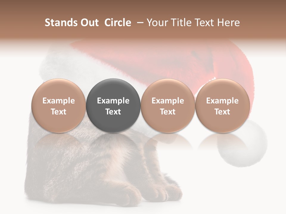 Hide Claus Soft PowerPoint Template
