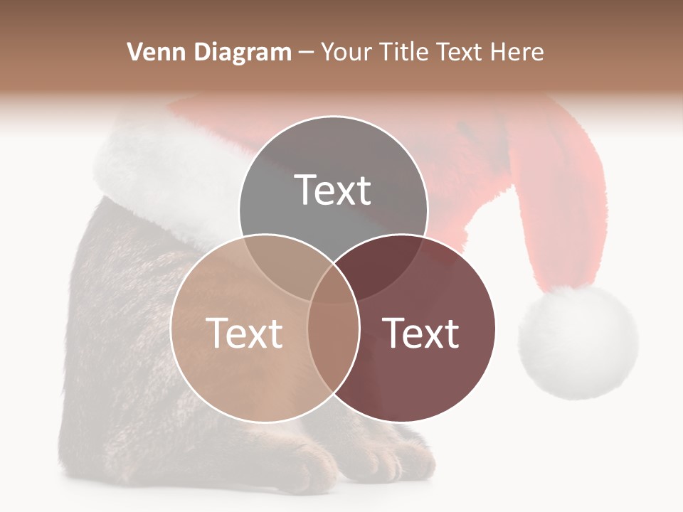 Hide Claus Soft PowerPoint Template