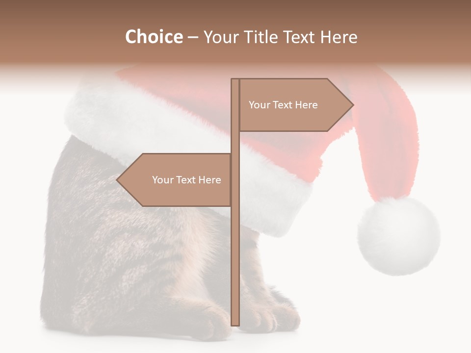 Hide Claus Soft PowerPoint Template