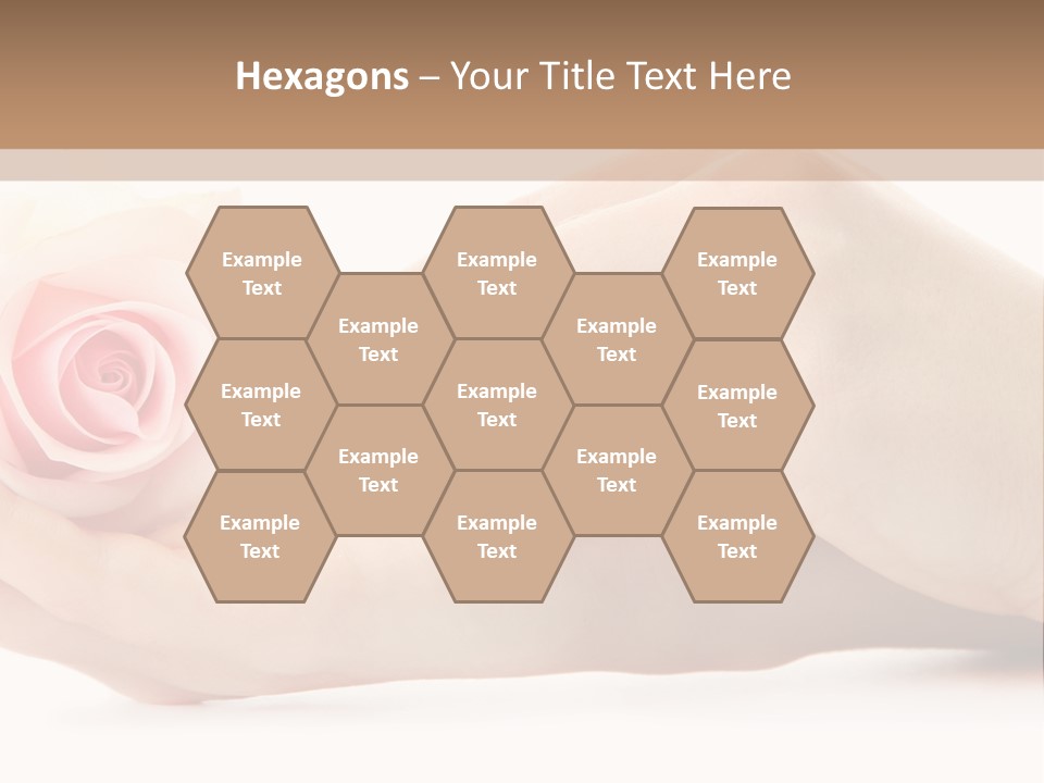 Hold Soft Beauty PowerPoint Template
