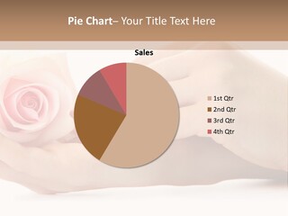 Hold Soft Beauty PowerPoint Template