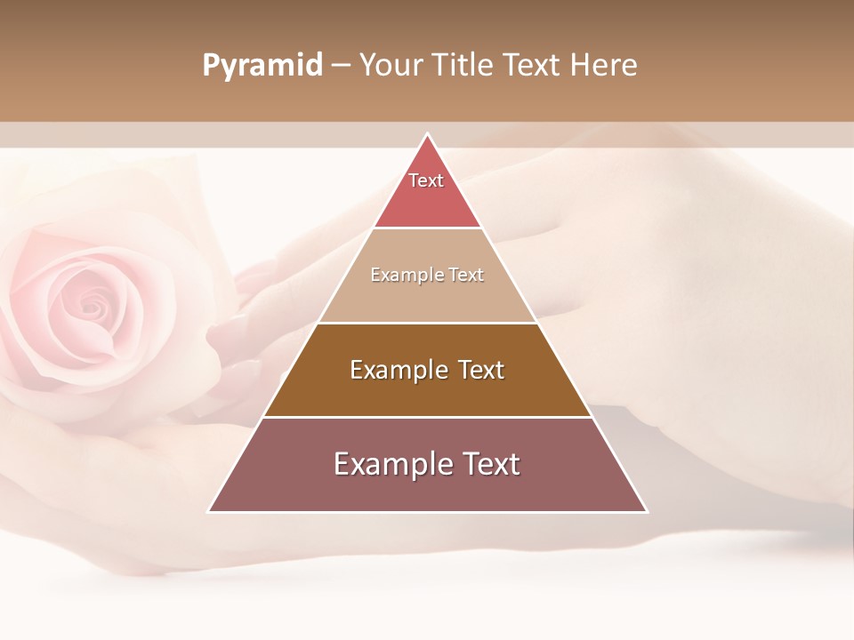 Hold Soft Beauty PowerPoint Template