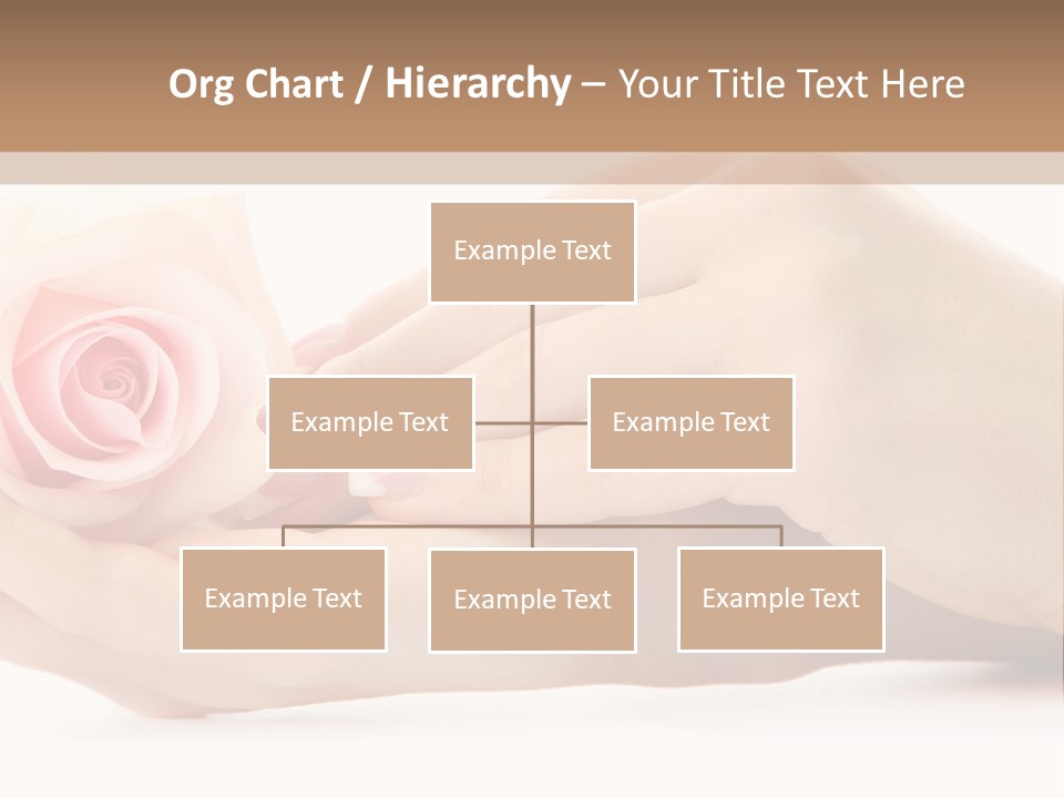 Hold Soft Beauty PowerPoint Template