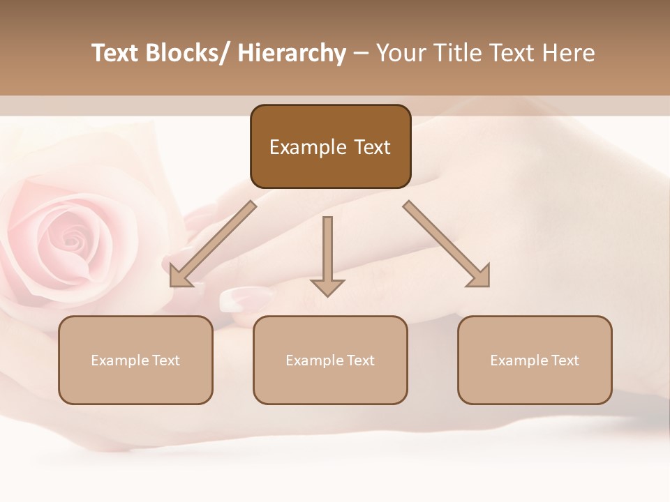 Hold Soft Beauty PowerPoint Template