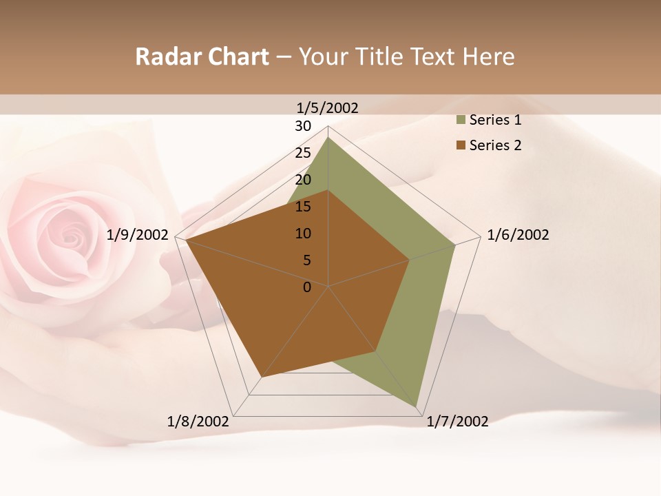 Hold Soft Beauty PowerPoint Template