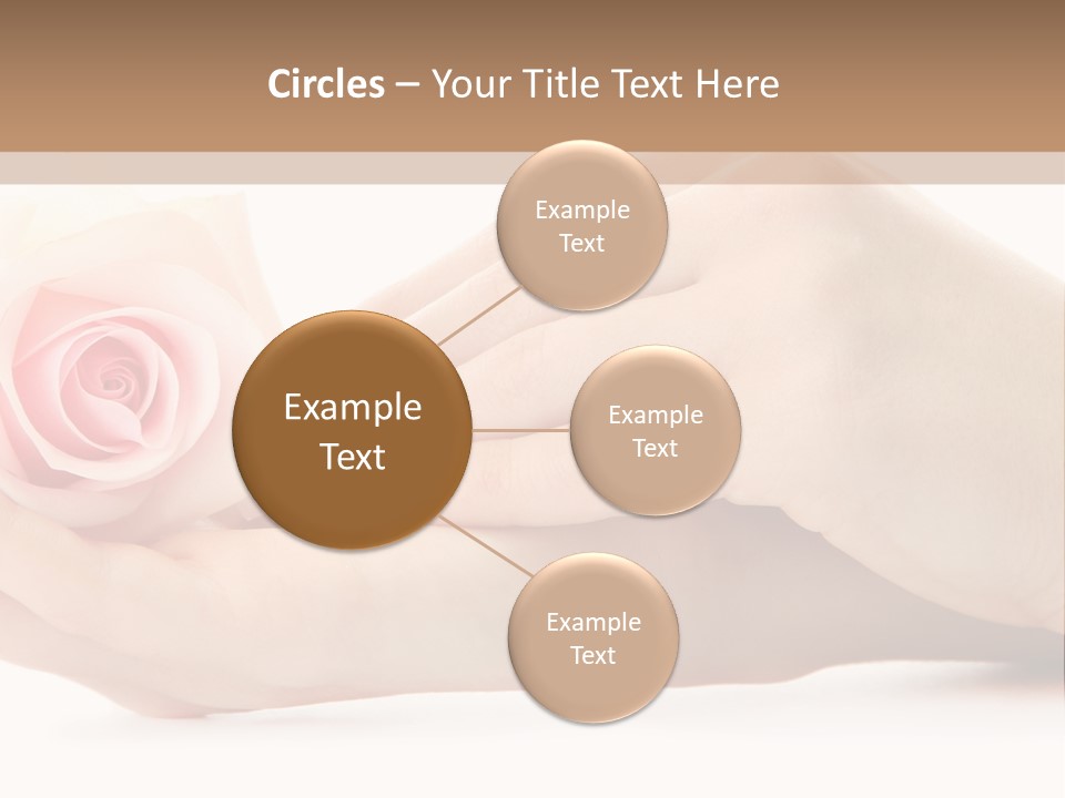 Hold Soft Beauty PowerPoint Template