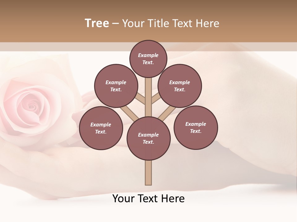 Hold Soft Beauty PowerPoint Template
