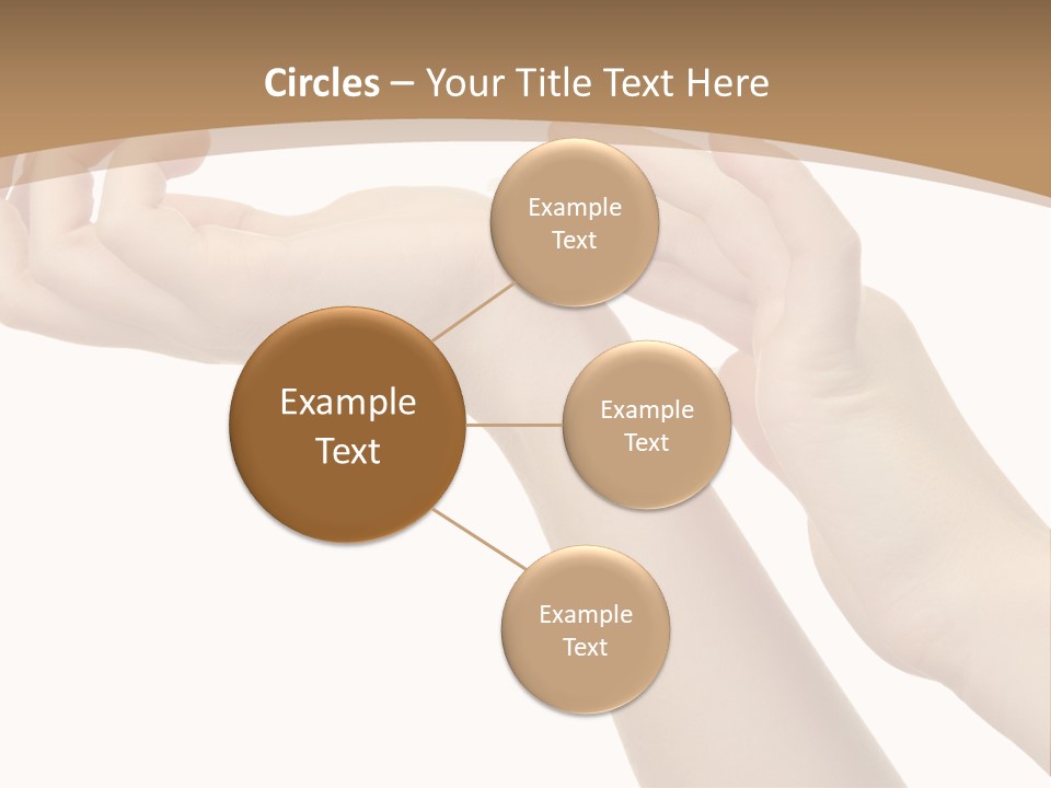 Polish White French PowerPoint Template