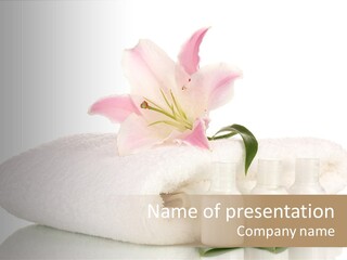 Petal Plant Isolated PowerPoint Template