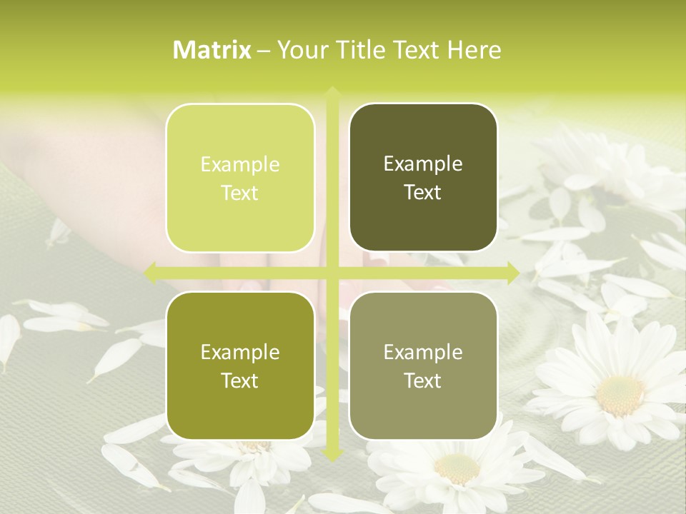 Female Polish Beautiful PowerPoint Template