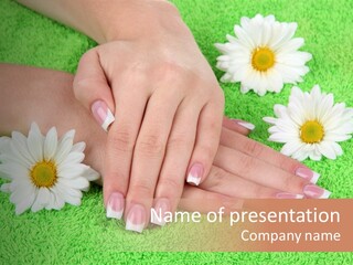 Soft Healthcare French PowerPoint Template