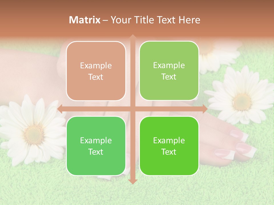 Soft Healthcare French PowerPoint Template