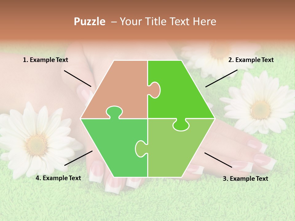 Soft Healthcare French PowerPoint Template