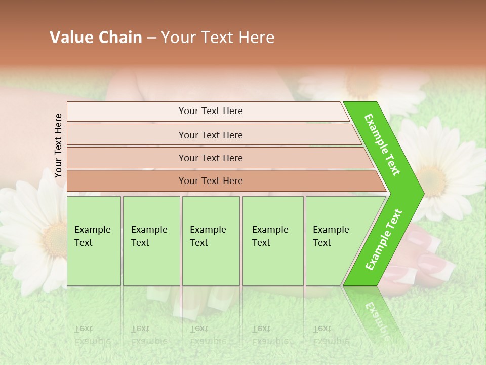 Soft Healthcare French PowerPoint Template