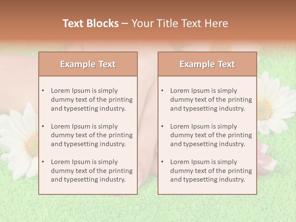 Soft Healthcare French PowerPoint Template