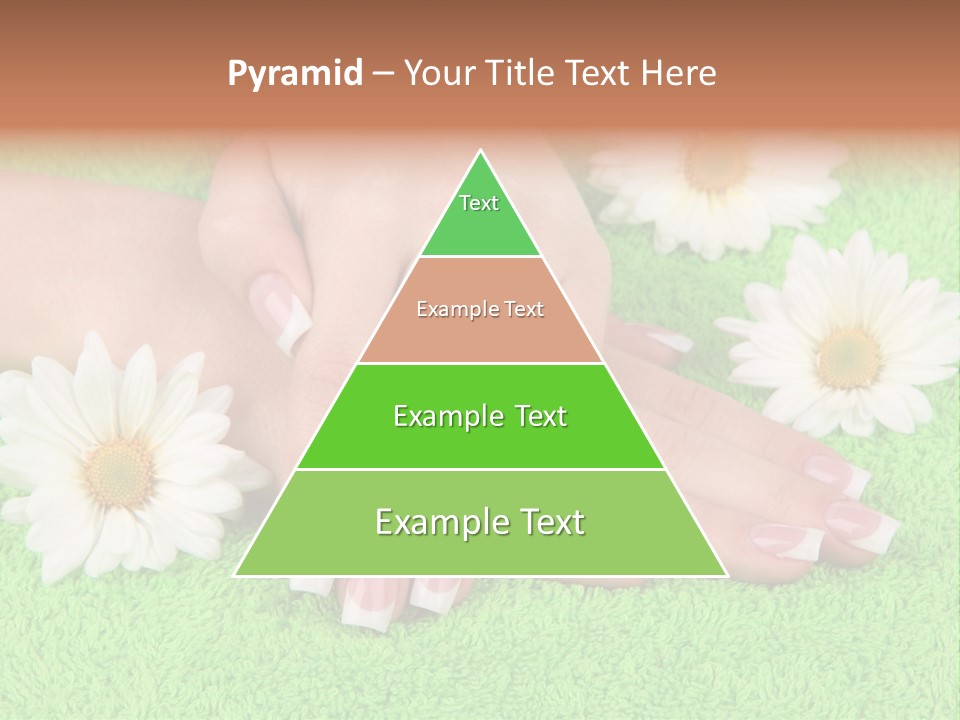 Soft Healthcare French PowerPoint Template