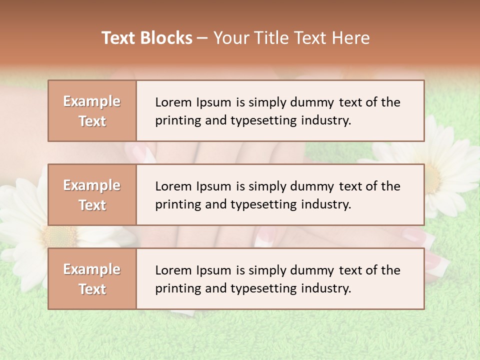 Soft Healthcare French PowerPoint Template