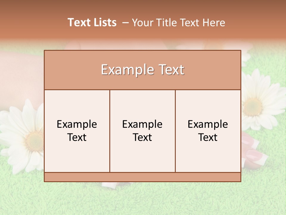 Soft Healthcare French PowerPoint Template