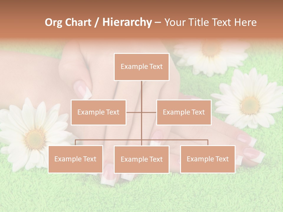 Soft Healthcare French PowerPoint Template
