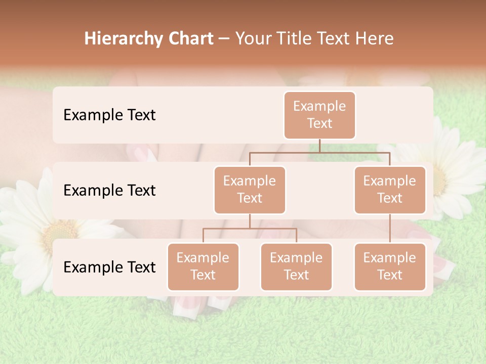 Soft Healthcare French PowerPoint Template