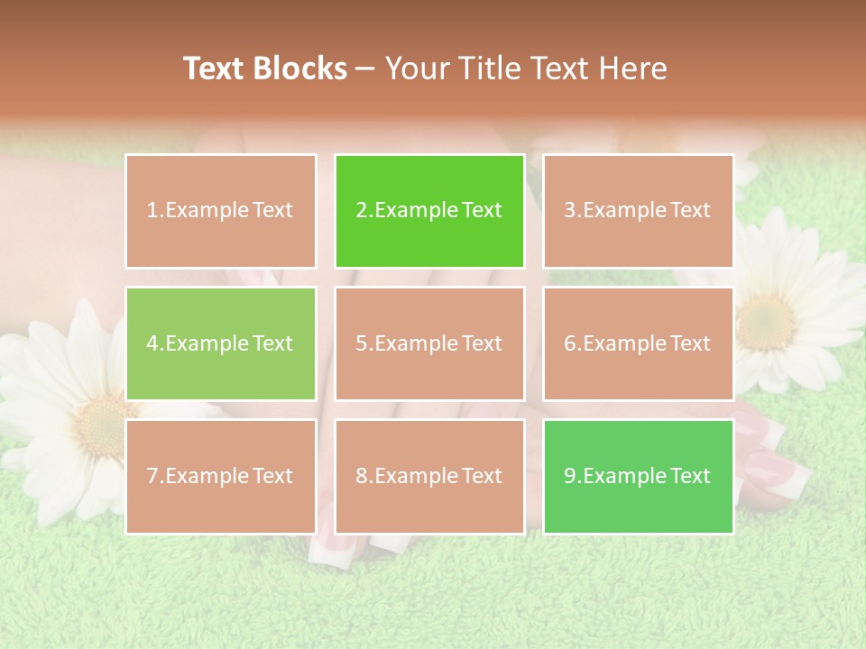 Soft Healthcare French PowerPoint Template