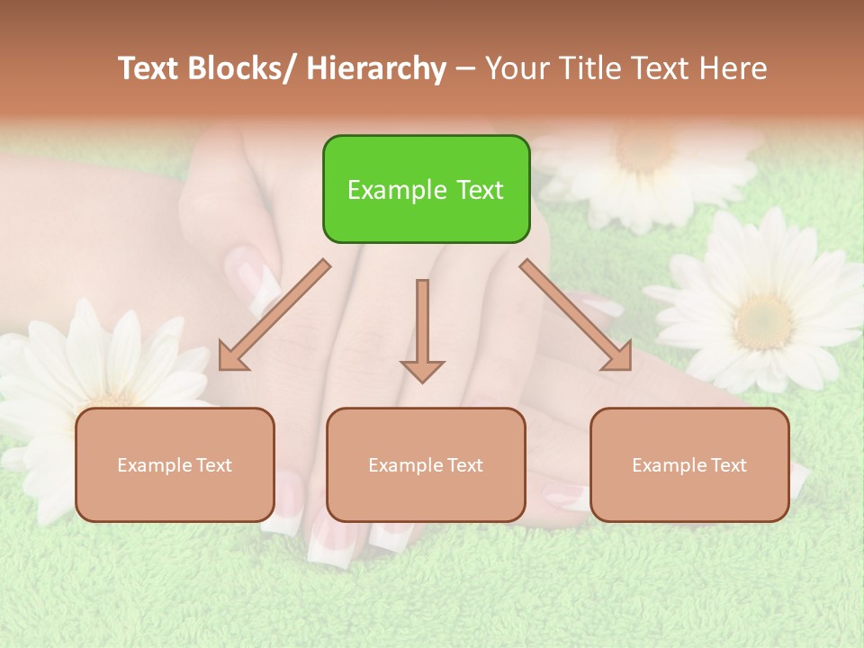 Soft Healthcare French PowerPoint Template