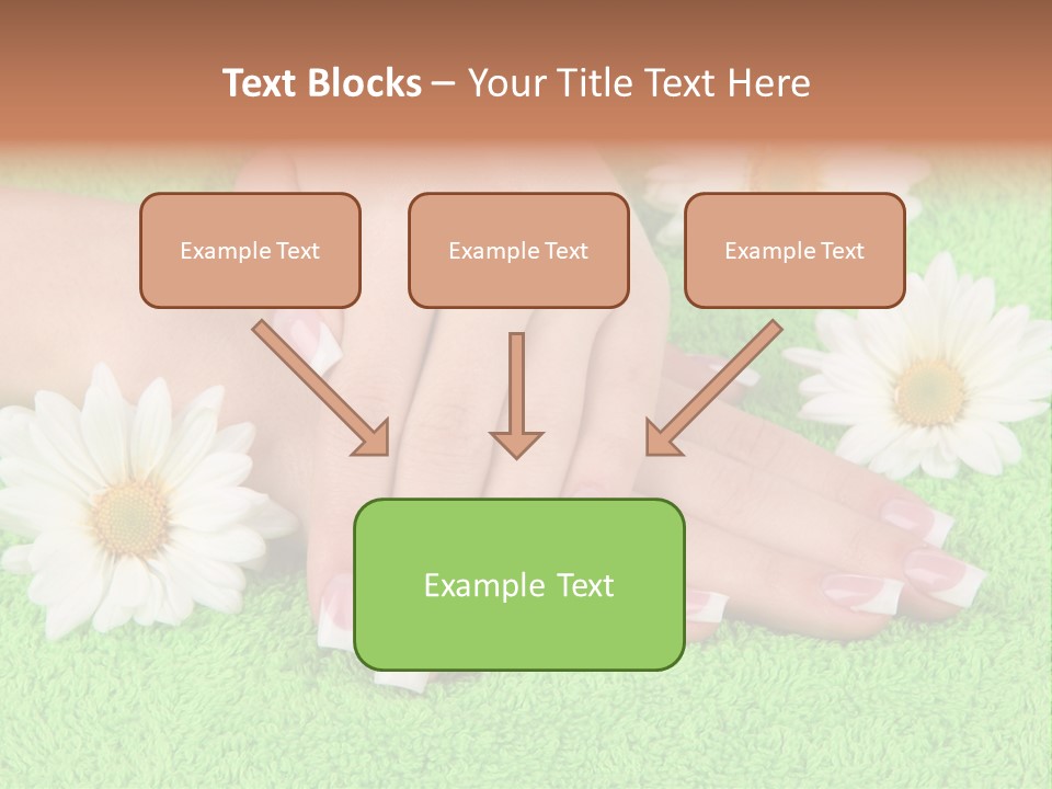 Soft Healthcare French PowerPoint Template
