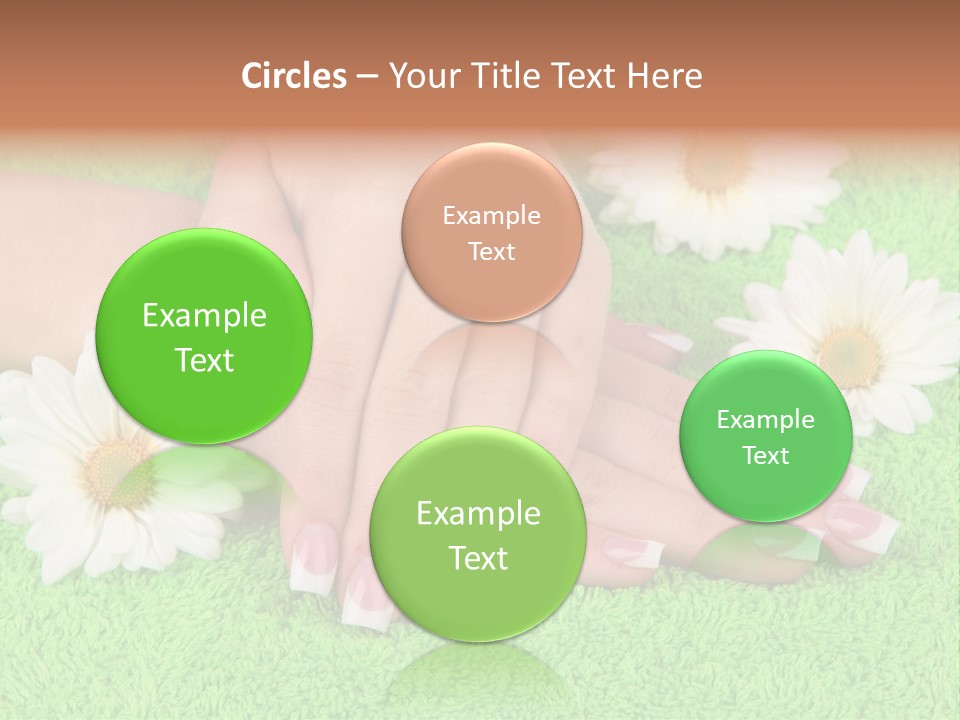Soft Healthcare French PowerPoint Template