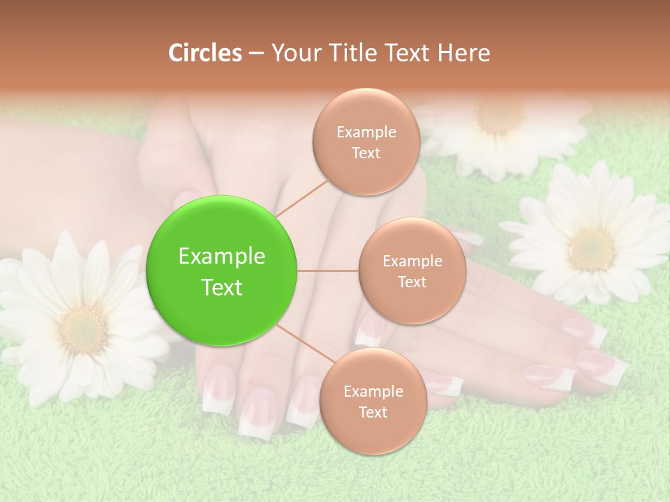 Soft Healthcare French PowerPoint Template