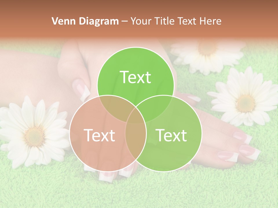 Soft Healthcare French PowerPoint Template